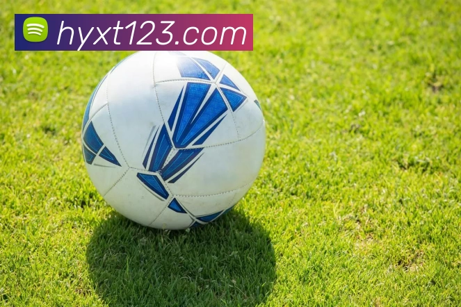 球速中国有限公司官网 - 球速官方网站发展历程